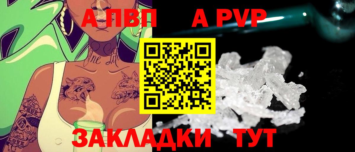 Alfa_PVP СК КРИС Курчалой