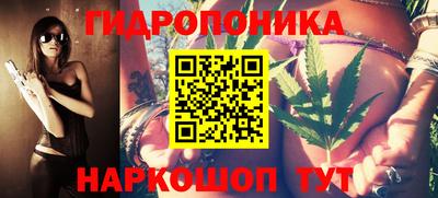 твердый Камышлов